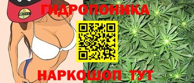 ешки Обнинск