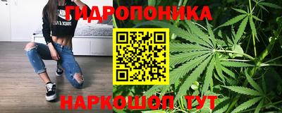 ешки Обнинск