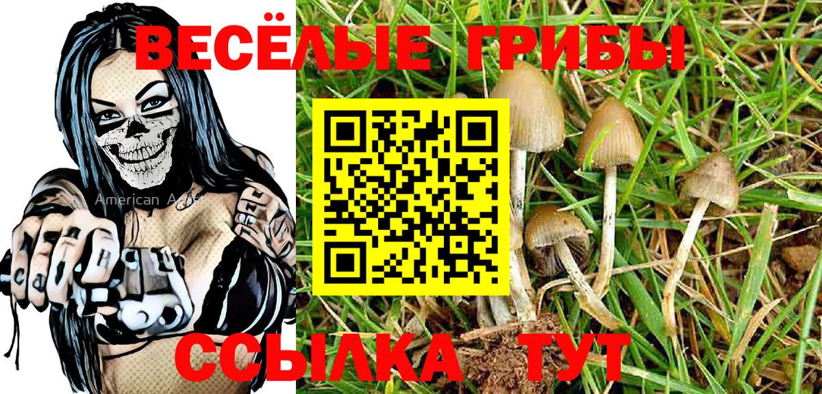 Псилоцибиновые грибы GOLDEN TEACHER Орехово-Зуево